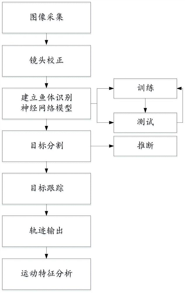 Fish trajectory tracking method and system based on artificial neural network