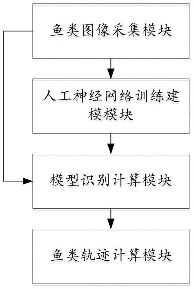 Fish trajectory tracking method and system based on artificial neural network