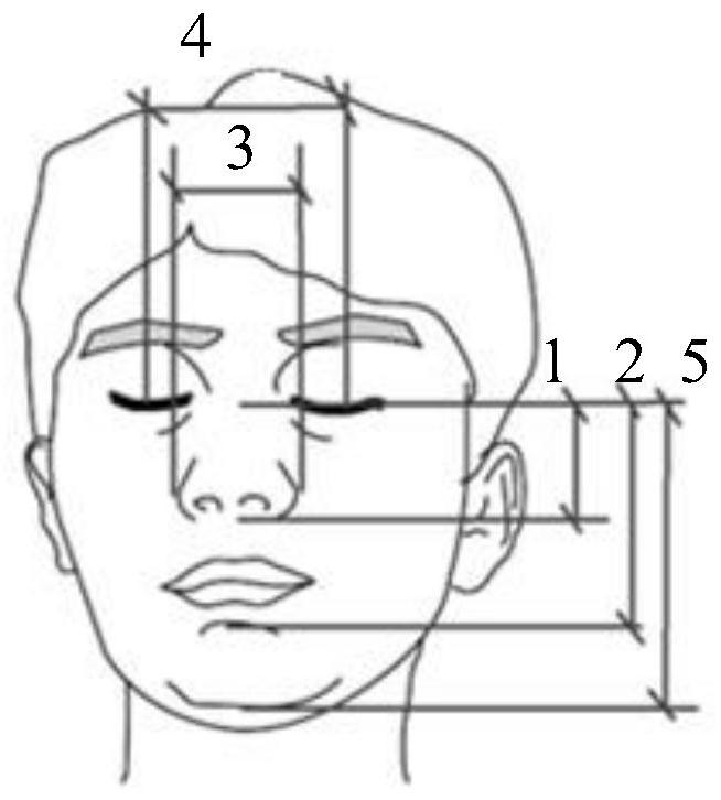 Face size determination method and device