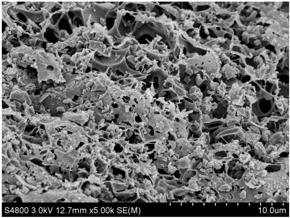 Biological carbon electrode material and preparation method thereof