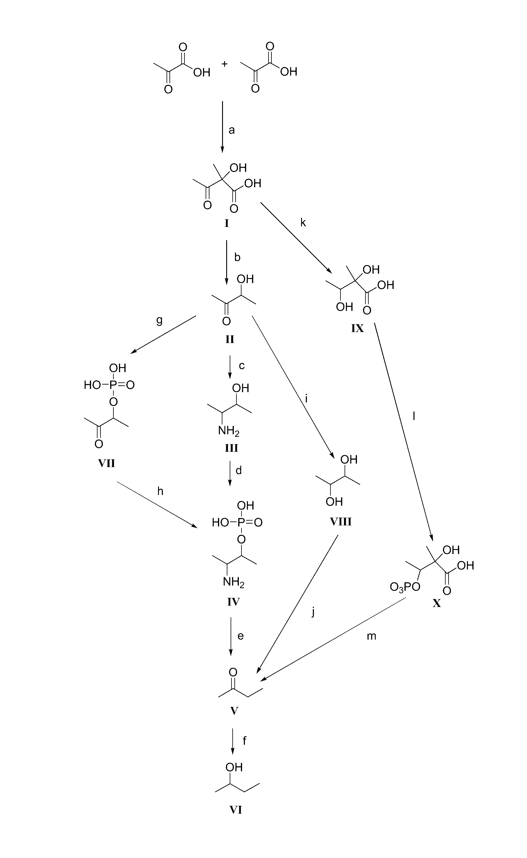 Method for the production of 2-butanol