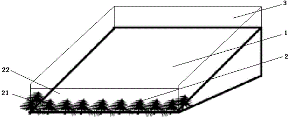 Ecological breeding method suitable for mountain forest land undergrowth chicken raising