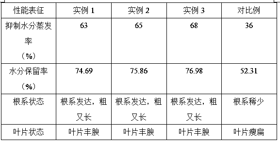 Plant water-saving antitranspirant and preparation method thereof