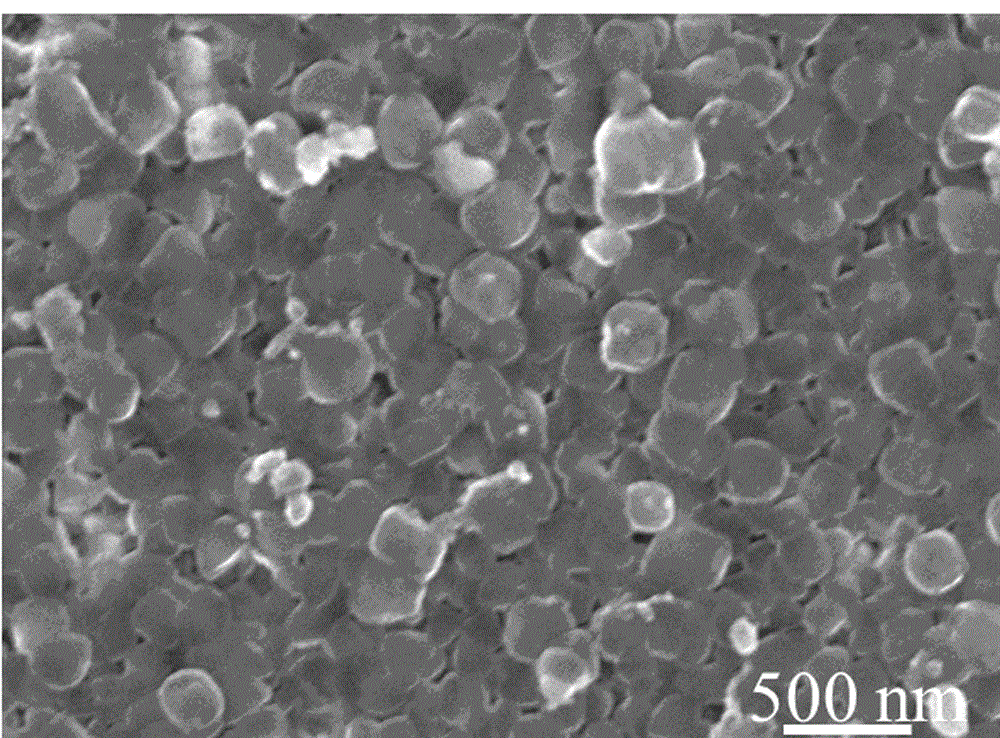 Method for directly growing Prussian-blue film on FTO conductive glass