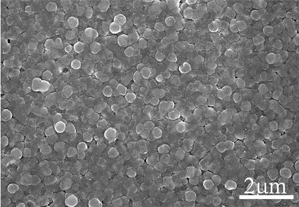 Method for directly growing Prussian-blue film on FTO conductive glass