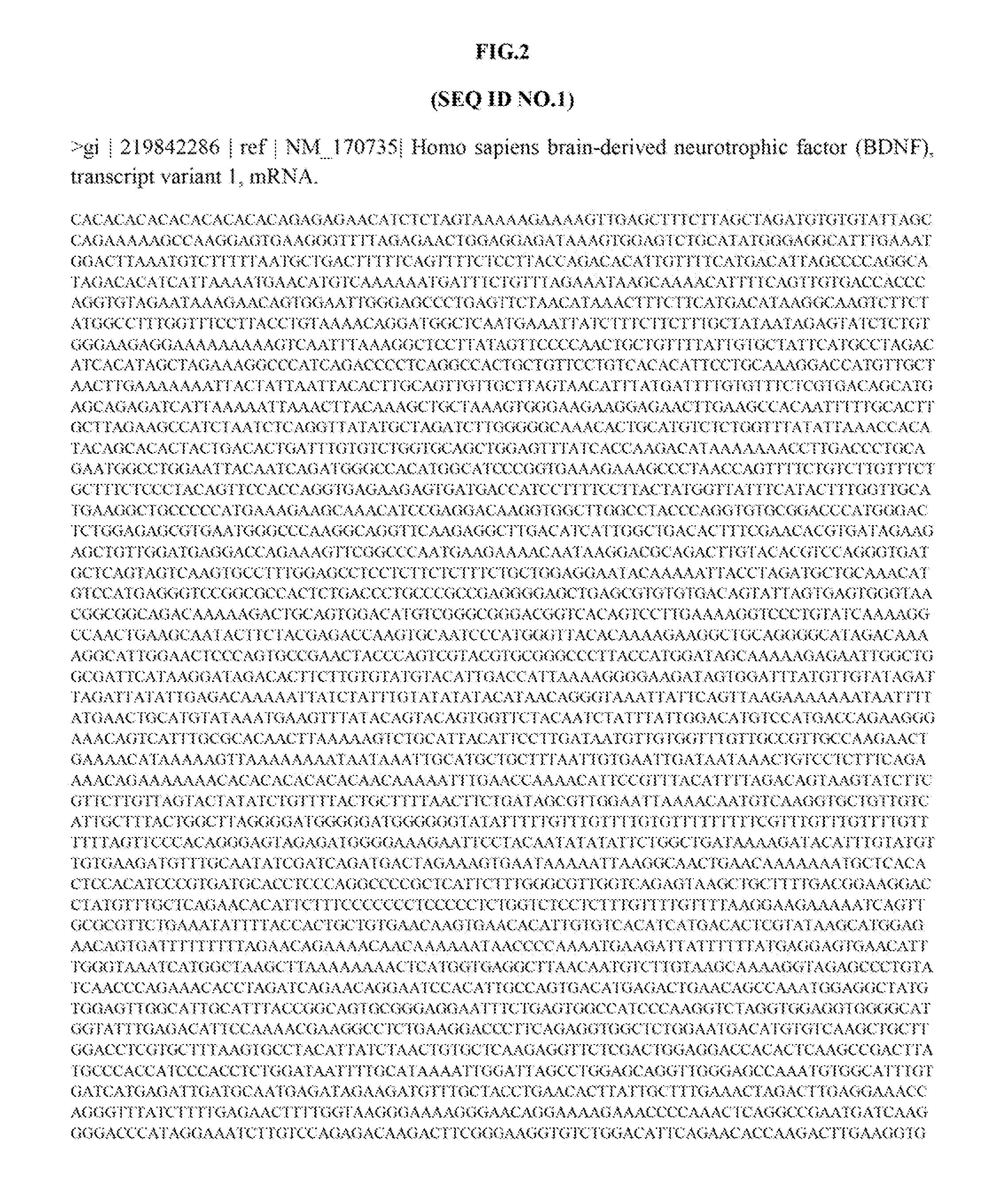 Treatment of brain derived neurotrophic factor (BDNF) related diseases by inhibition of natural antisense transcript to BDNF