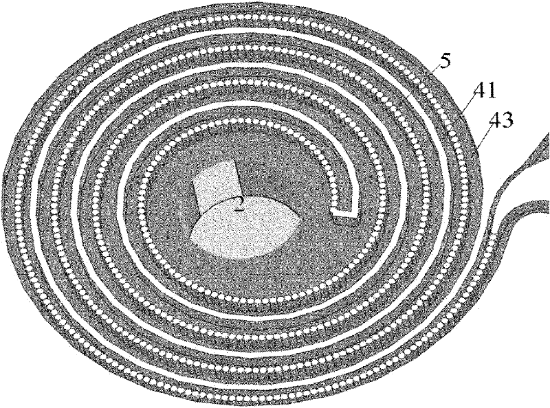 Whole blood centrifugal separation chip and preparation method thereof