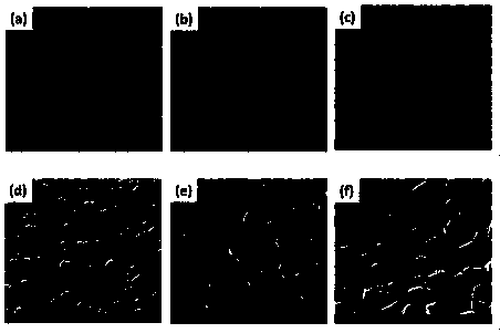 A kind of preparation method of polypropylene foam special material based on sorbitol acetal compound