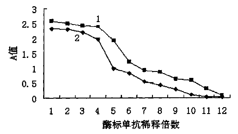 Methods for detecting bicistronic mRNA virus of scylla serrata and kits thereof