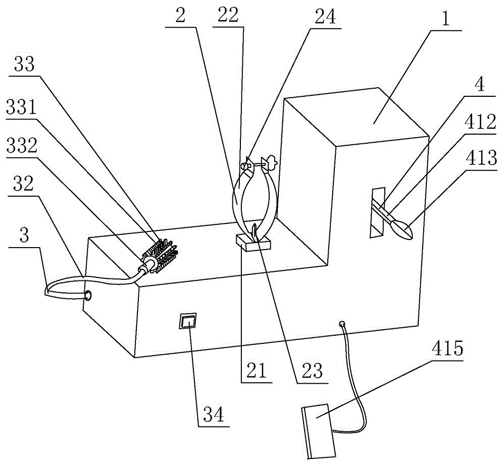 A device for removing scales and killing fish