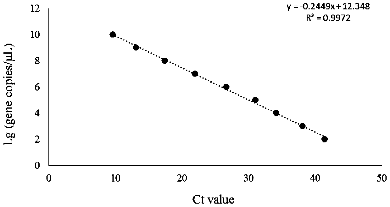 Real-time fluorescent PCR primer probe combination and kit for detecting African swine fever virus wild strains