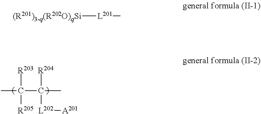 Hydrophilic member