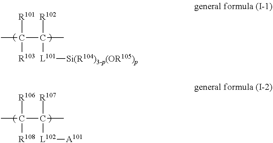 Hydrophilic member