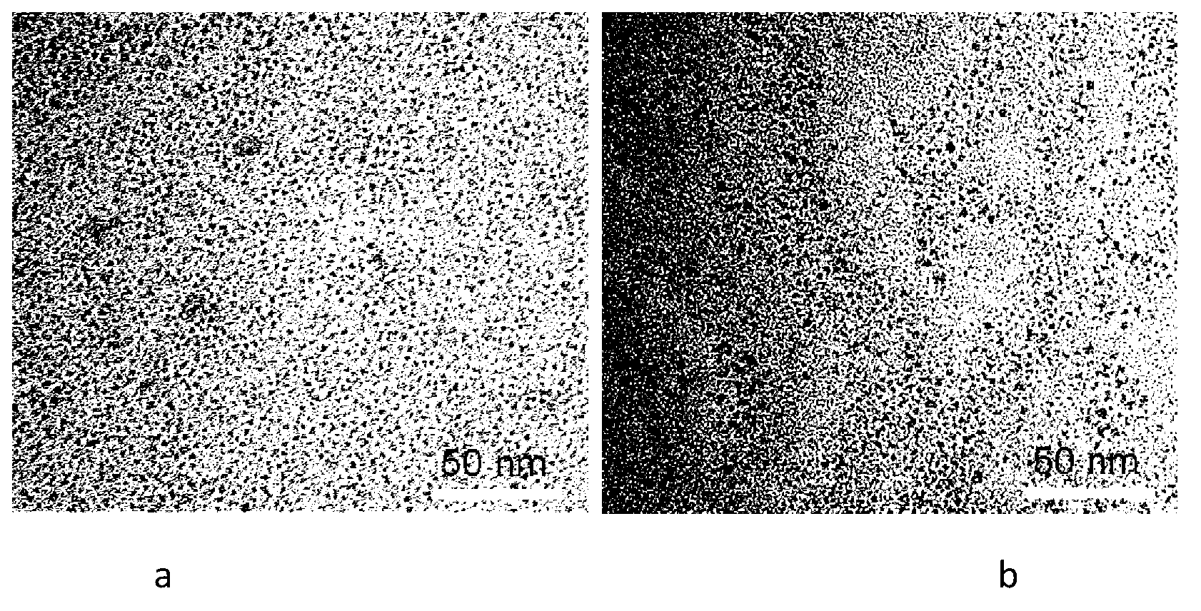 Method for synchronously realizing water-phase transfer and nucleus targeting of hydrophobic nanoparticles