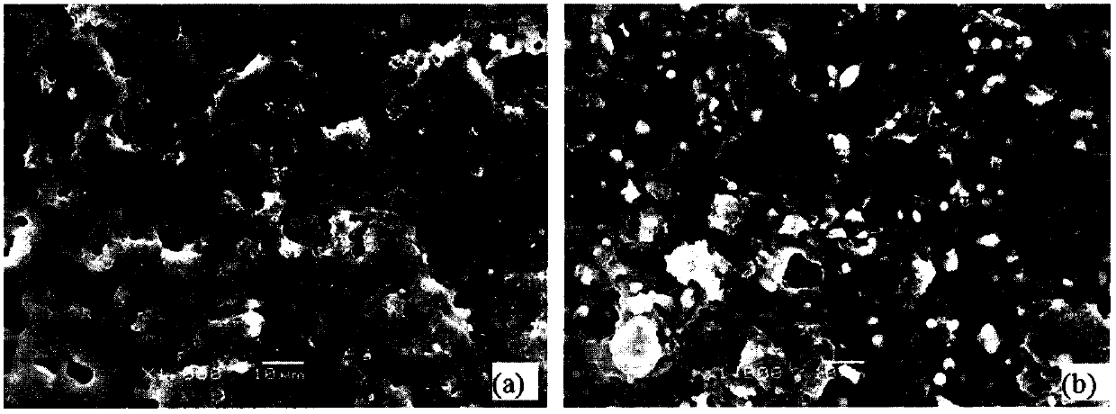 A three-dimensional porous titanium-based magnesium-doped coating and its preparation method