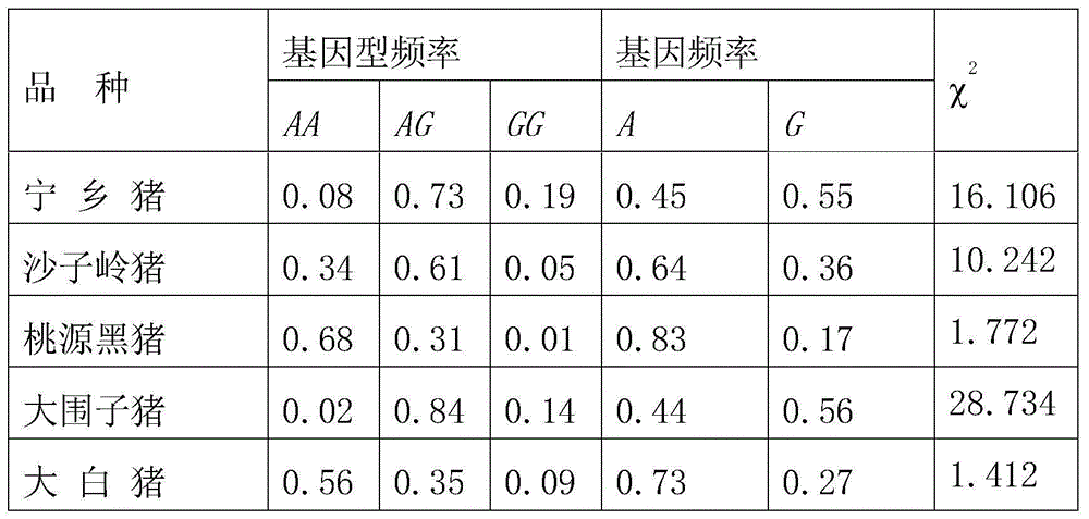 Cloning and application of pork quality character related GADD45G gene molecule marker