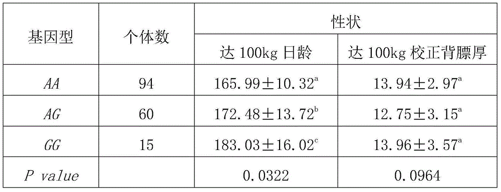 Cloning and application of pork quality character related GADD45G gene molecule marker