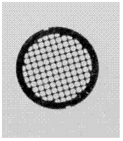 Tungsten foil mesh for transmission microscope and scanning microscope and production method of tungsten foil mesh