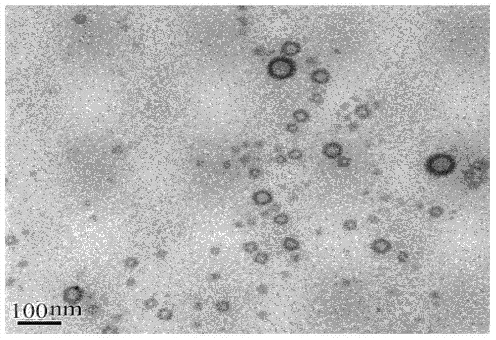 Nimodipine liposome for nasal delivery and preparation method thereof