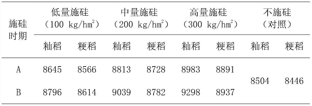 Silicon application method for reducing lead concentration of rice in rice field with severe lead contamination