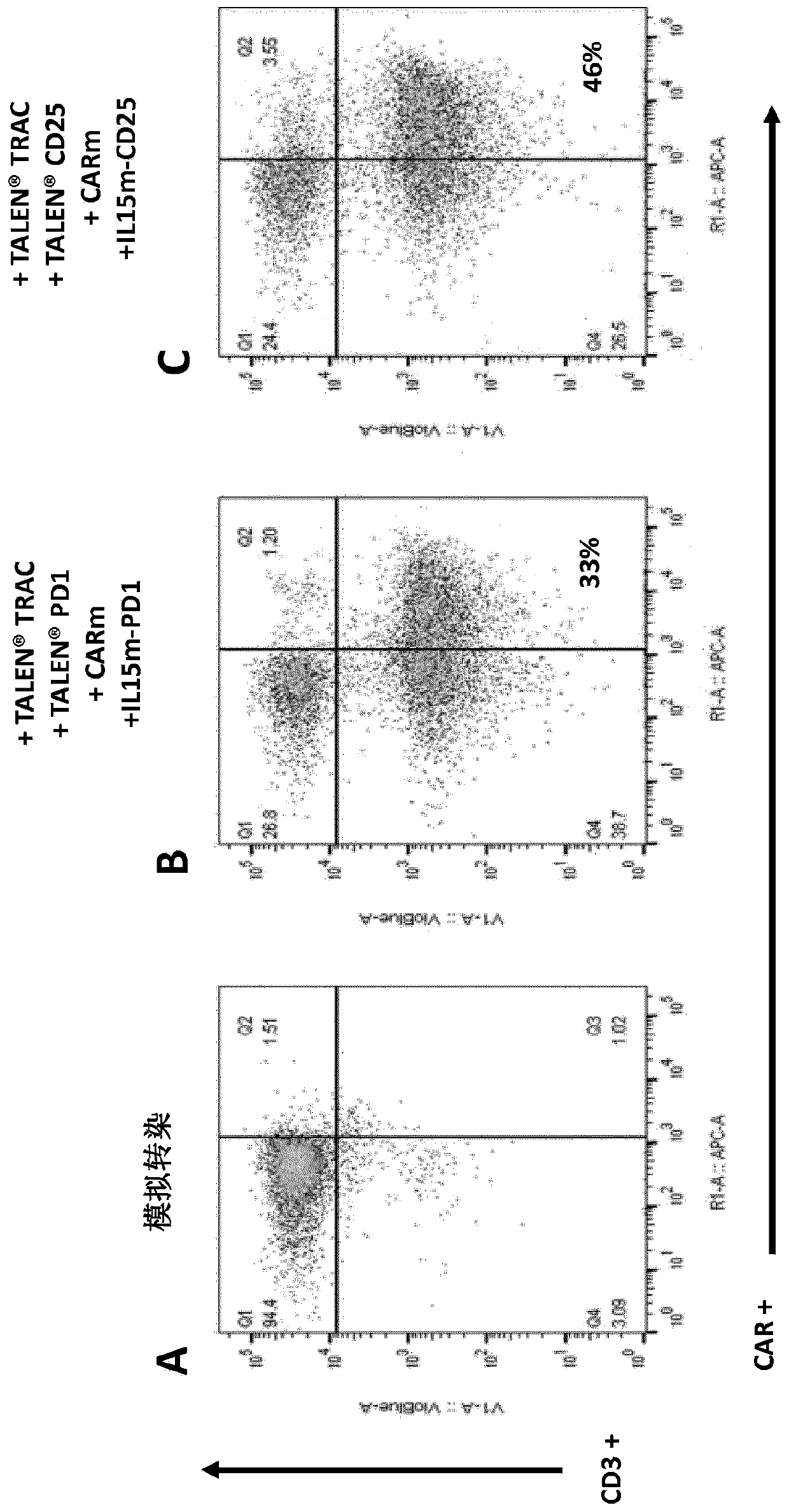 Targeted gene insertion for improved immune cells therapy