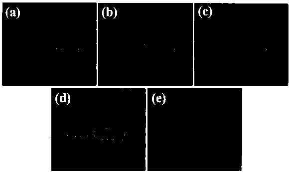 Nano-scale electrochemically expanded graphite paper conductive substrate and preparation method thereof