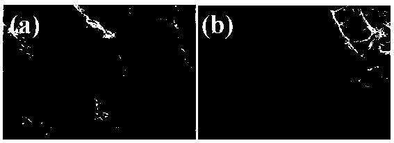 Nano-scale electrochemically expanded graphite paper conductive substrate and preparation method thereof