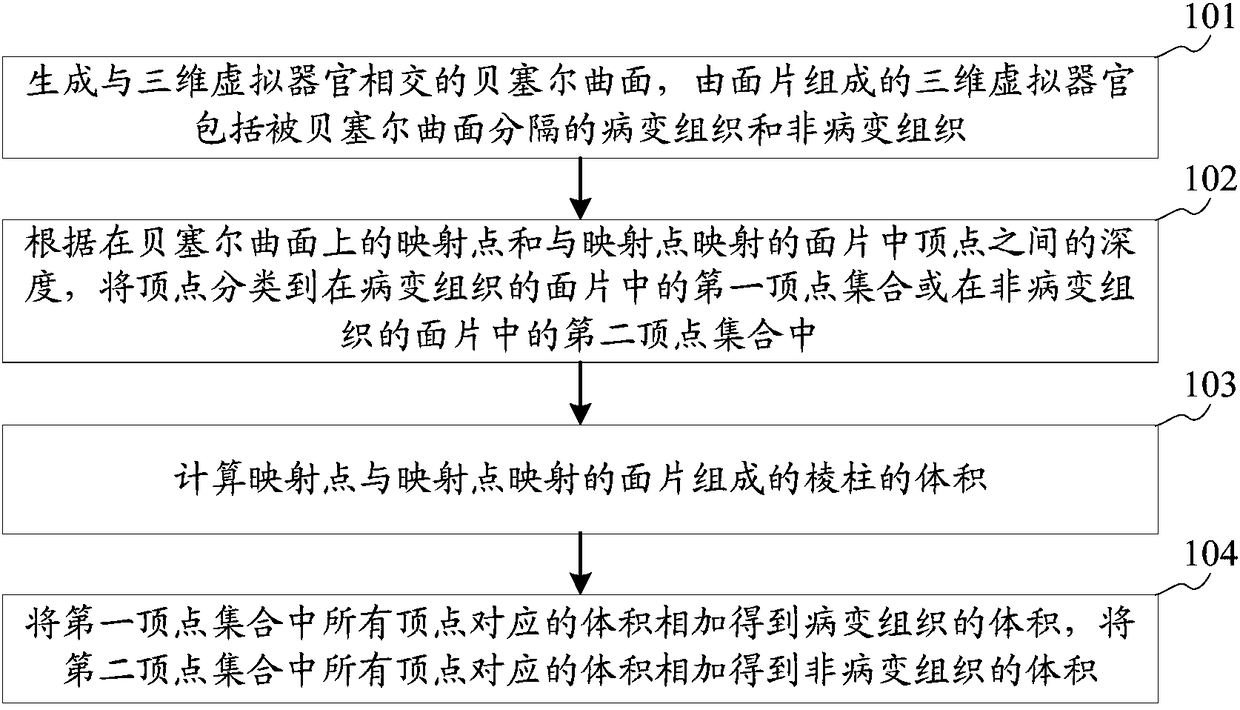 Three-dimensional virtual organ volume calculation method, device, storage medium and equipment