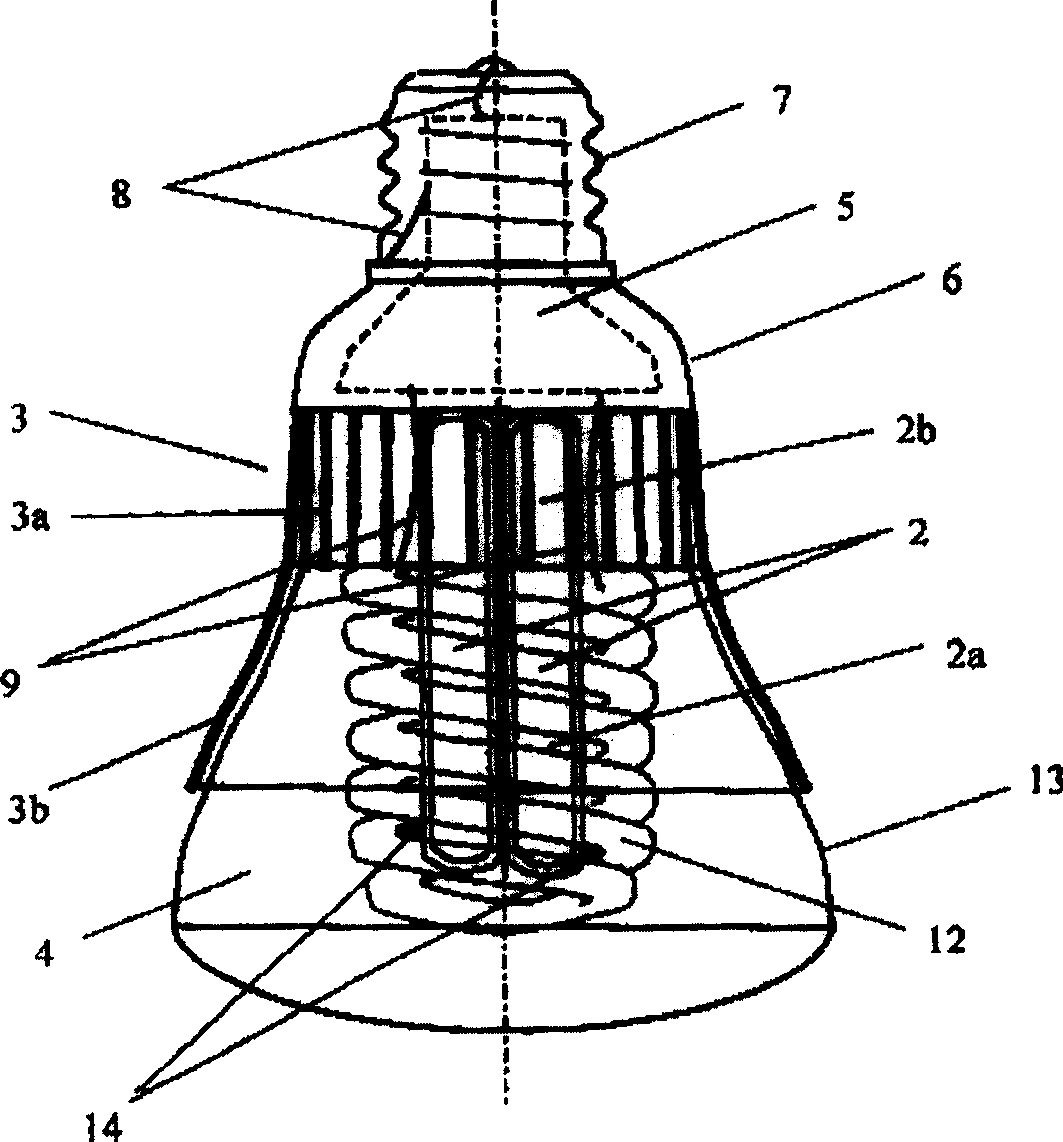 Super heat-conductive pipe lamp