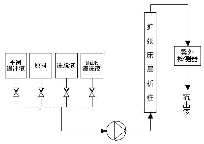 Method for purifying lactoferrin from milk serum by using an expanded bed adsorption technology