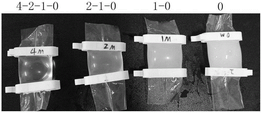 Preparation and identification method of domestic silkworm silk fibroin solution