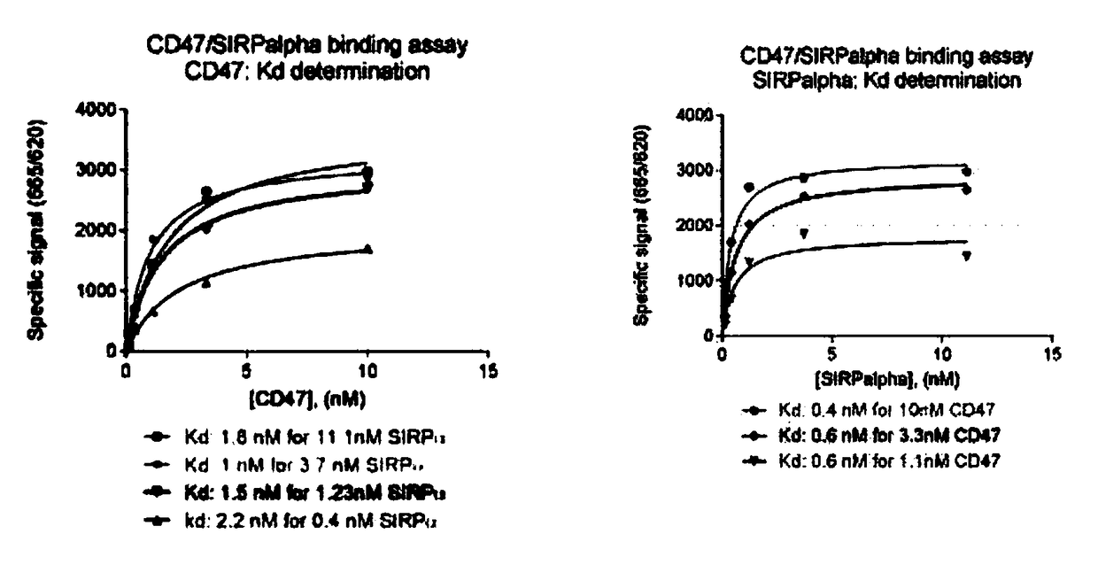 Method for screening CD47/SIRP alpha blocker by HTRF (Homogeneous Time Resolved Fluorescence) one-step method