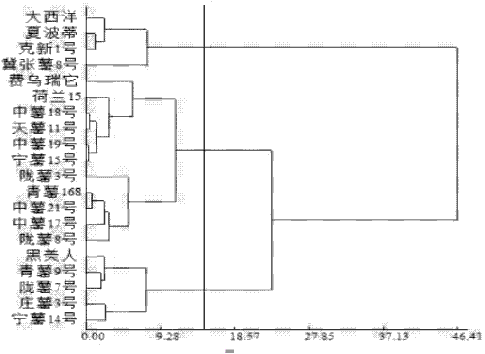 Resistance identification method for potato black scurf