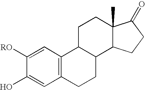 Method and composition of novel compounds for the therapy and targeting of the primary modalitites of cancer cell proliferation and homeostasis