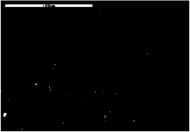 Preparation method of lasting hydrophilization modified polyvinylidene fluoride (PVDF) ultrafiltration membrane