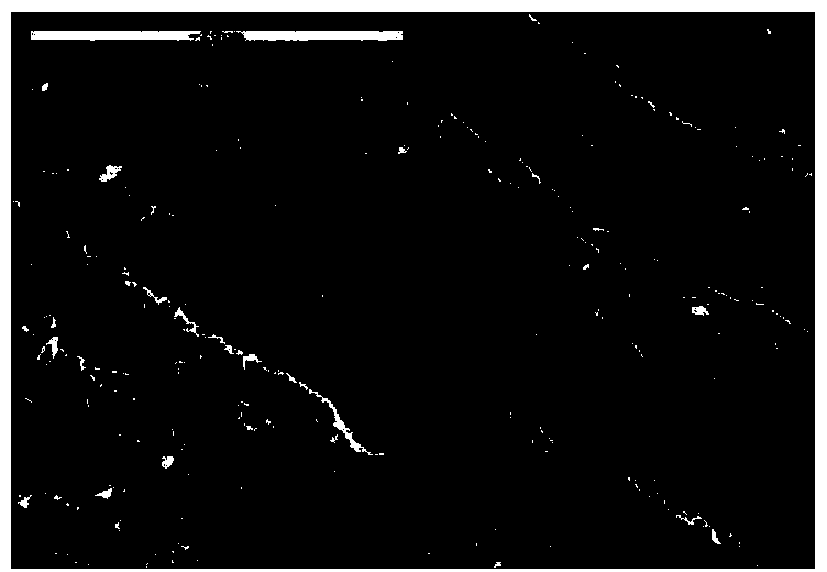 Preparation method of lasting hydrophilization modified polyvinylidene fluoride (PVDF) ultrafiltration membrane