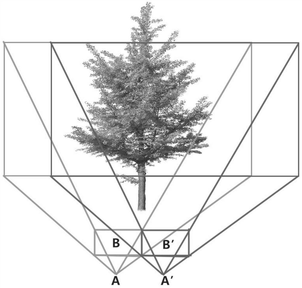 Virtual three-dimensional software simulation binocular stereo camera