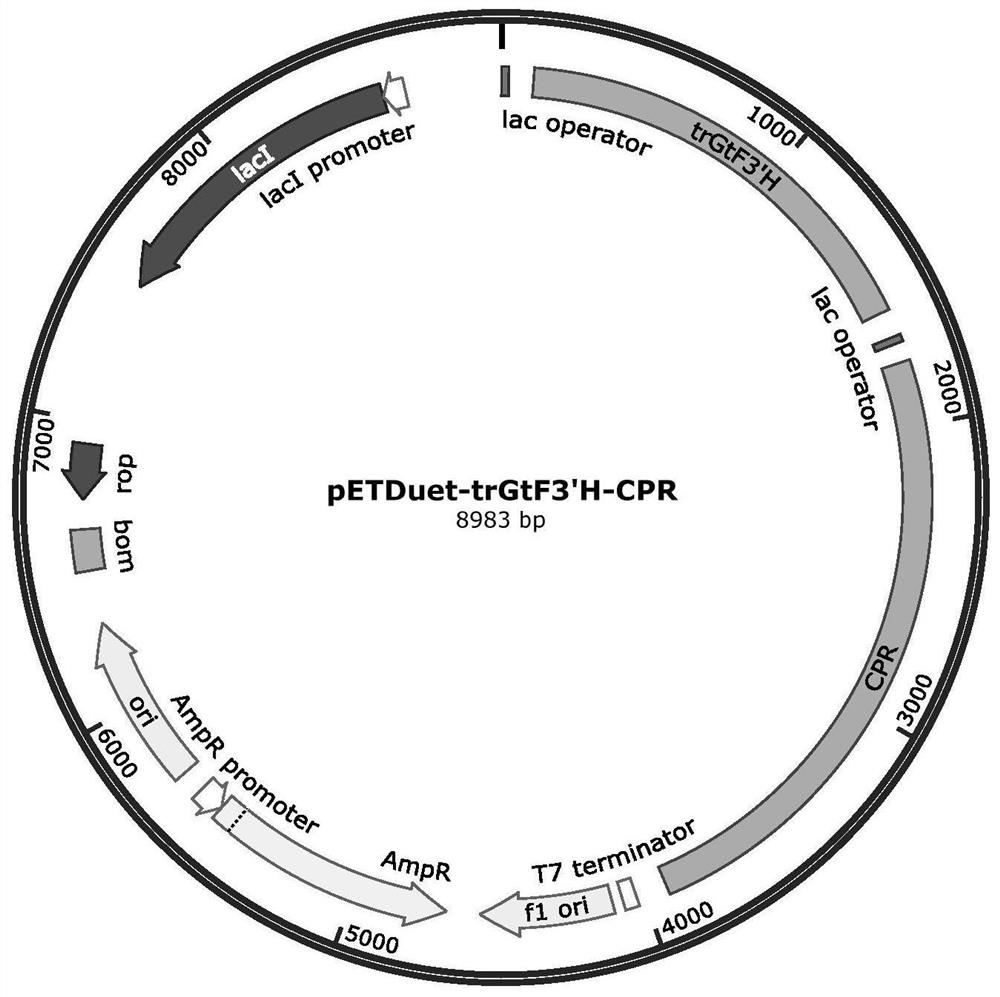 Genetically engineered bacterium community based on artificial design as well as construction method and application of genetically engineered bacterium community