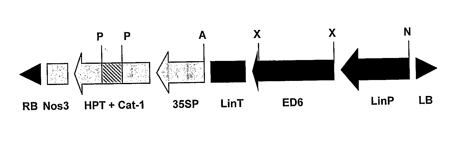 Feedstuffs for Aquaculture Comprising Stearidonic Acid