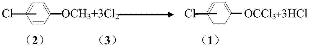 Method for synthesizing trichlorine methoxyl chlorobenzene and trichlorine methoxyl phenylamine