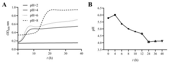 Screening method of leuconostoc mesenteroides and application of leuconostoc mesenteroides in preparation of aquatic product bacteriostatic agent