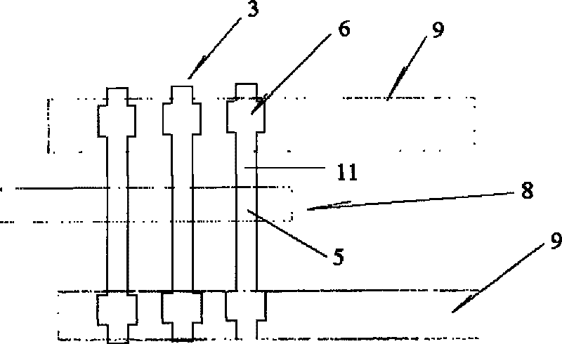 Plasma display panel and lower substrate thereof