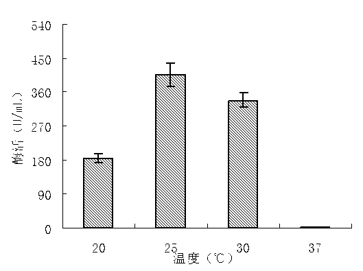 Protease-producing strain exiguobacterium sp. and applications thereof