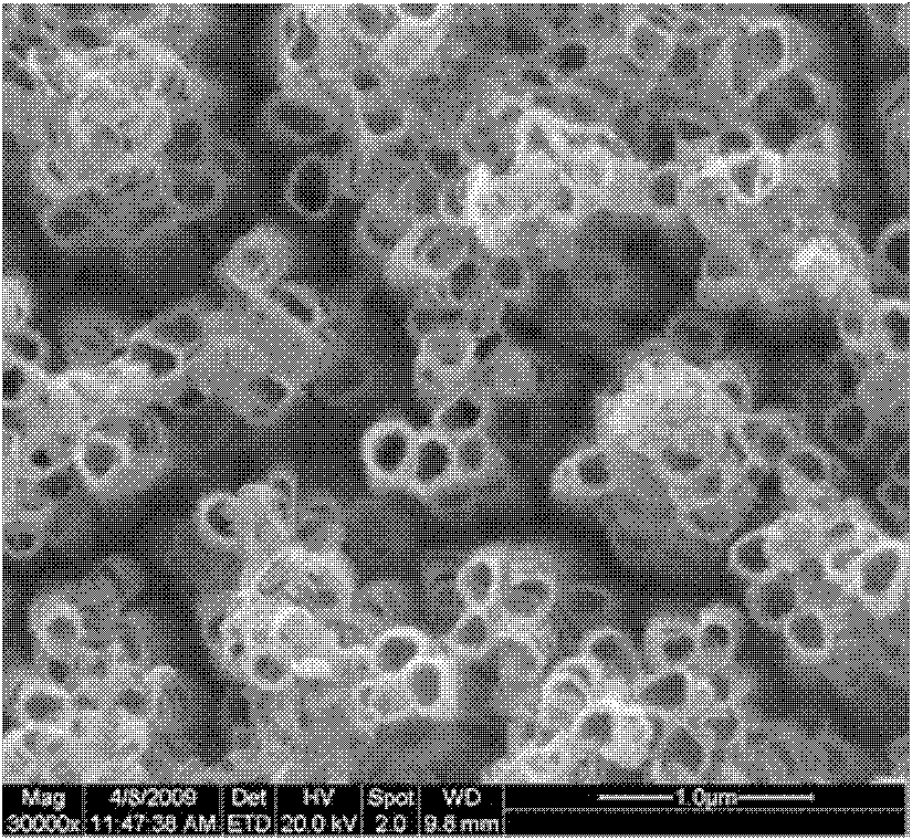 Preparation method of crystallized TiO2 nanotube array