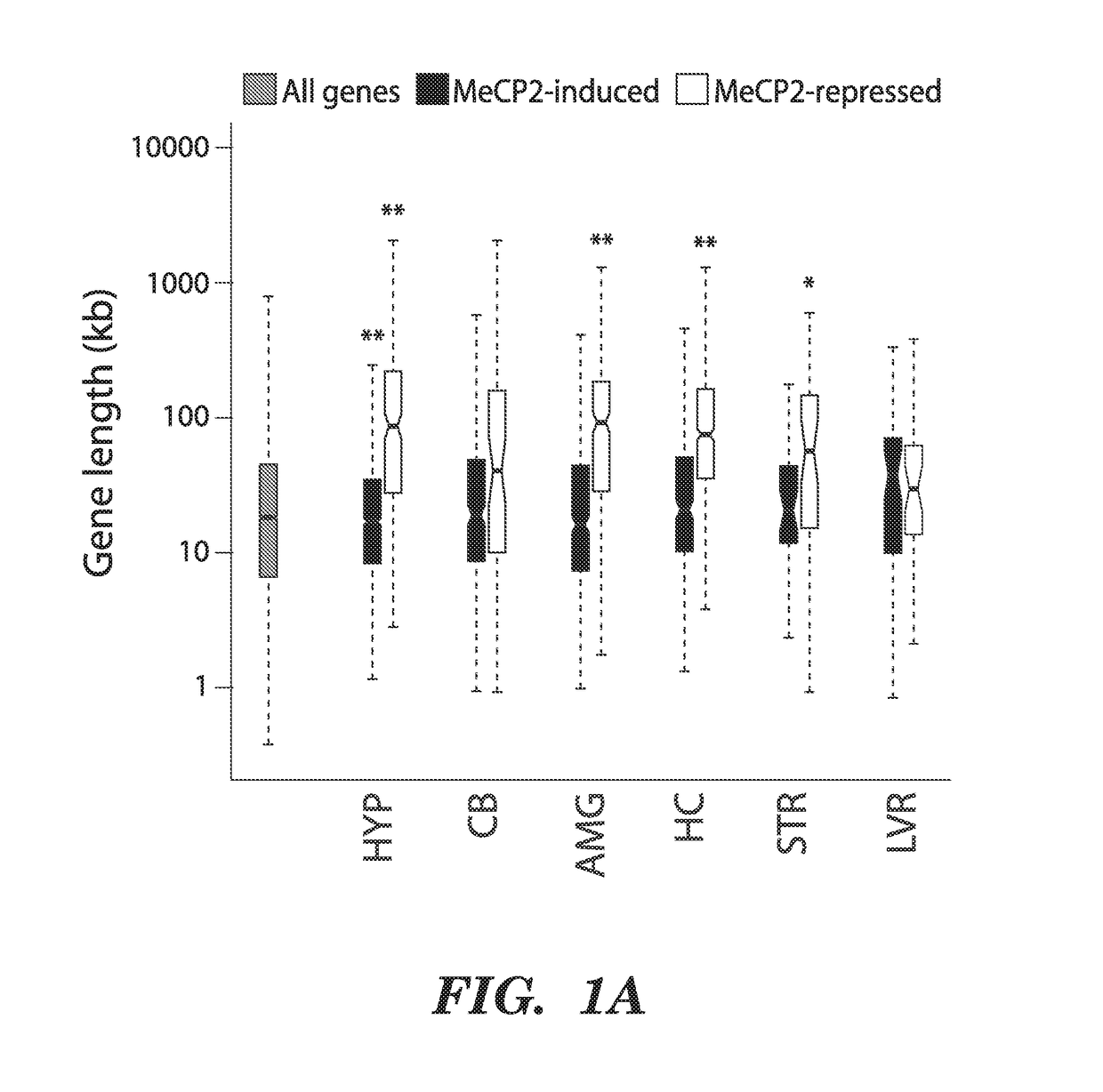 Methods for treatment of autism spectrum disorders