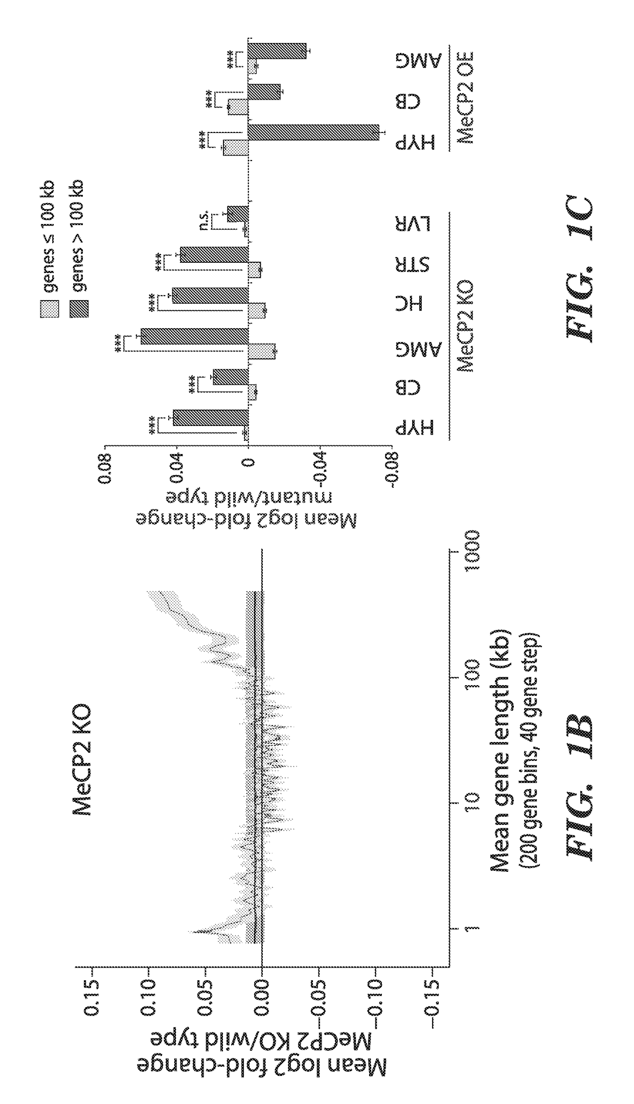 Methods for treatment of autism spectrum disorders