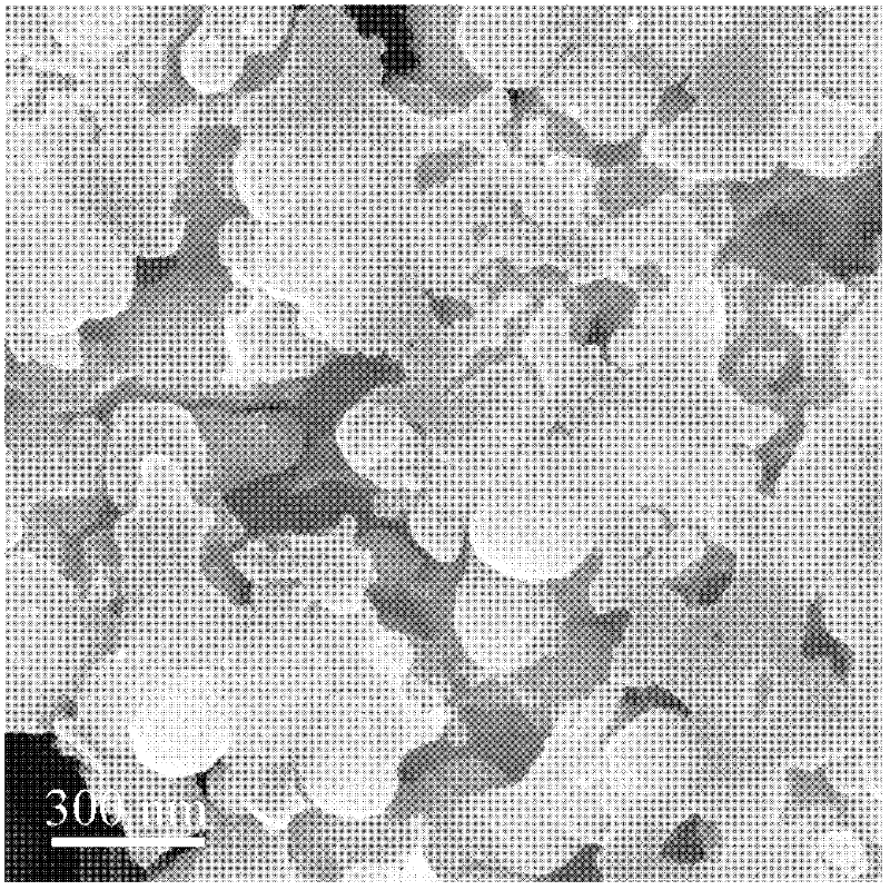 Porous metal oxide-carbon composite thin film electrode and preparation method thereof