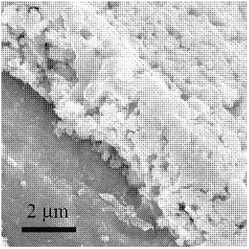 Porous metal oxide-carbon composite thin film electrode and preparation method thereof