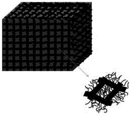 Preparation method of three-dimensional graphene/carbon nano tube composite material having isotropic high heat conduction and elasticity