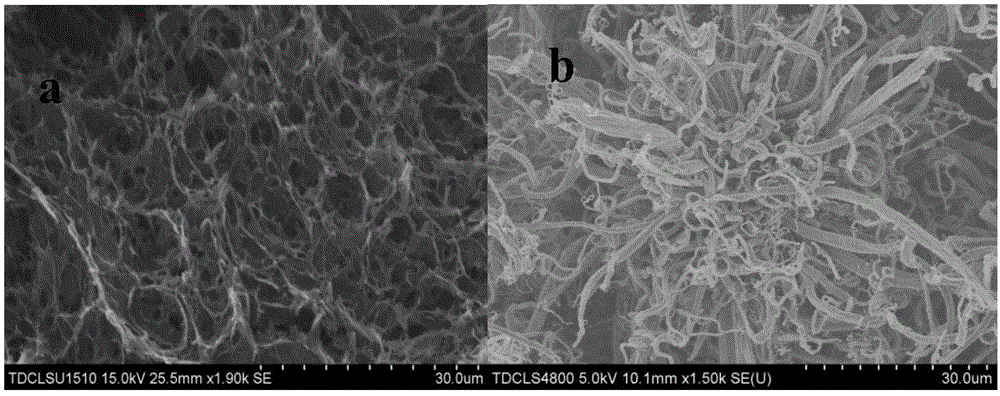 Preparation method of three-dimensional graphene/carbon nano tube composite material having isotropic high heat conduction and elasticity